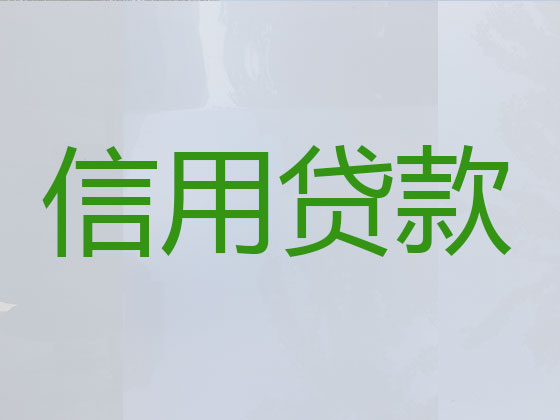 铜川贷款中介公司-信用贷款